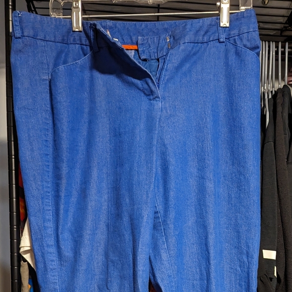 Blue Cropped Pants - Picture 4 of 4